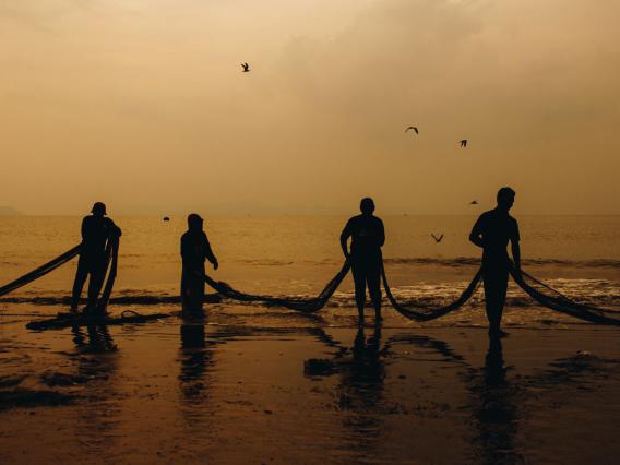 Four people dragging a net in from the ocean at dawn